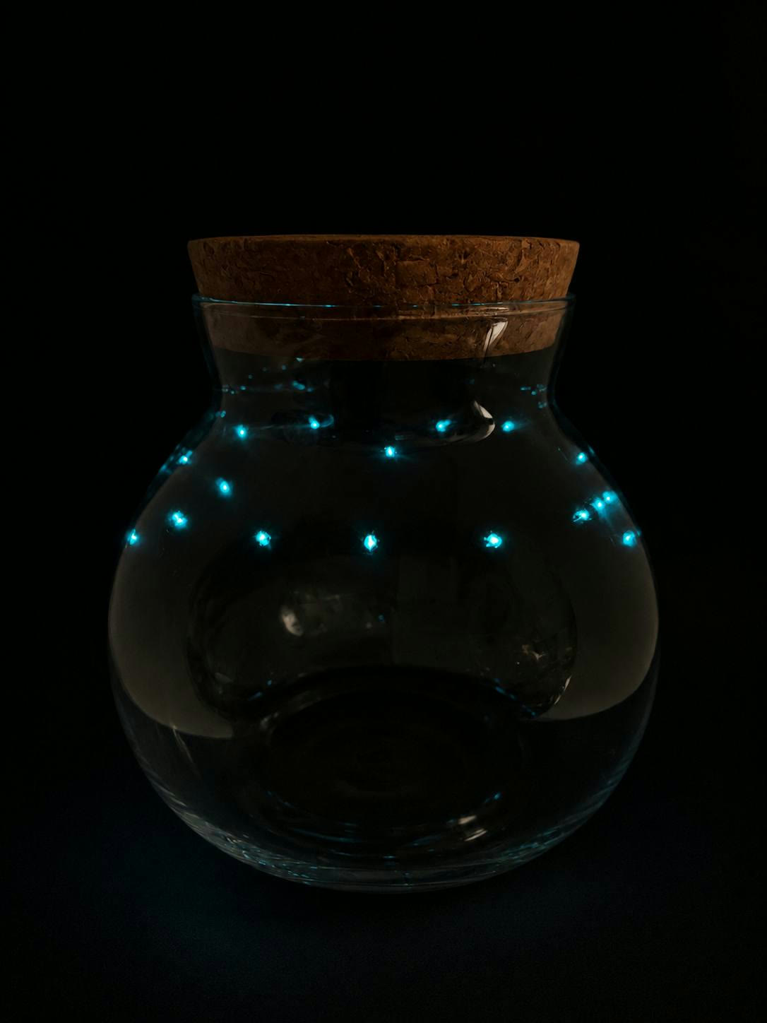 Terrarium jar with glow-in-the-dark Starry Night rocks lighting up in the dark